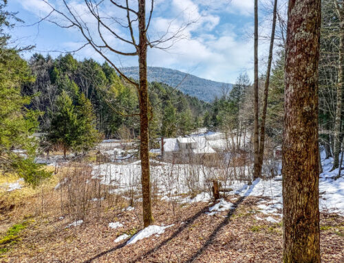 Property View — 36654 State Highway 28 Andes